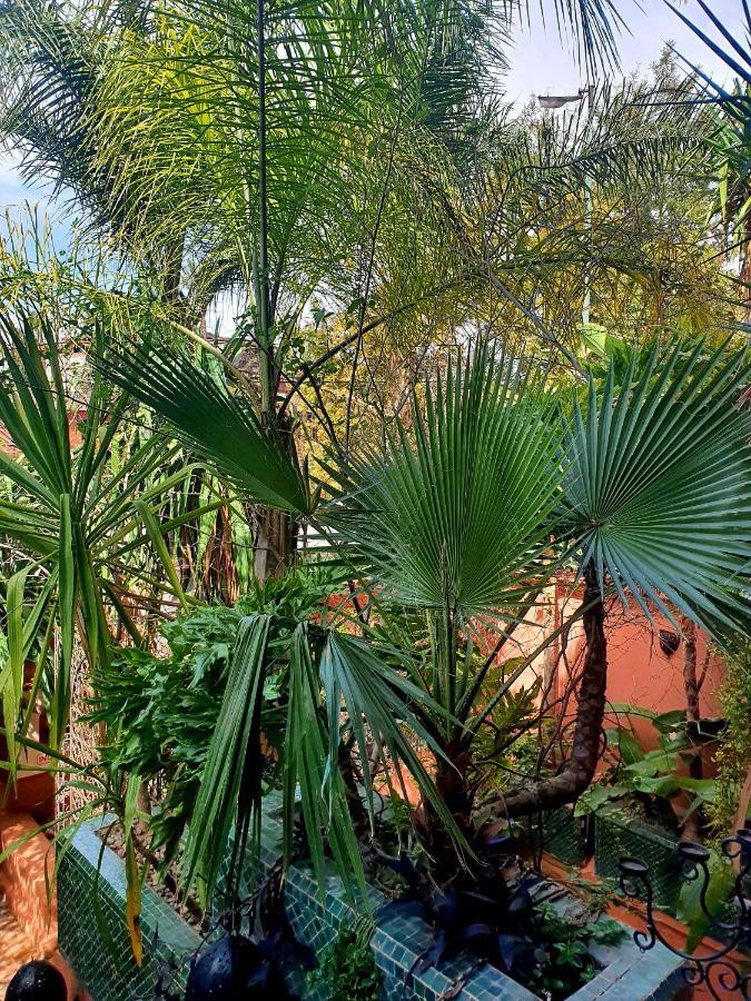 Villa Amira Et Spa Marrakesh Buitenkant foto